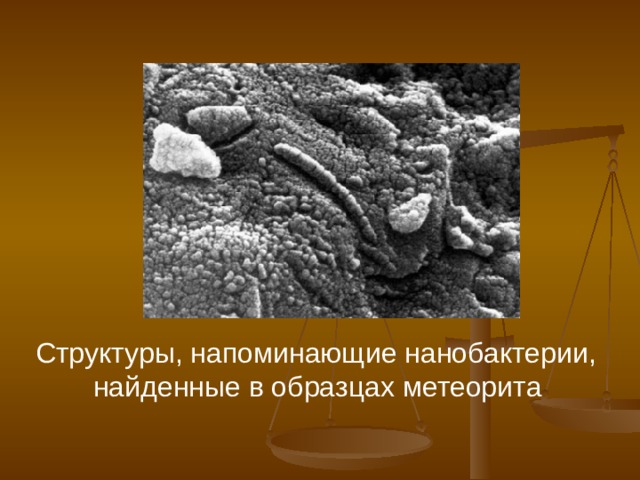 Структуры, напоминающие нанобактерии, найденные в образцах метеорита  