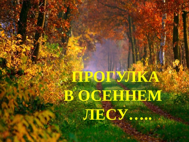  ПРОГУЛКА В ОСЕННЕМ  ЛЕСУ….. 