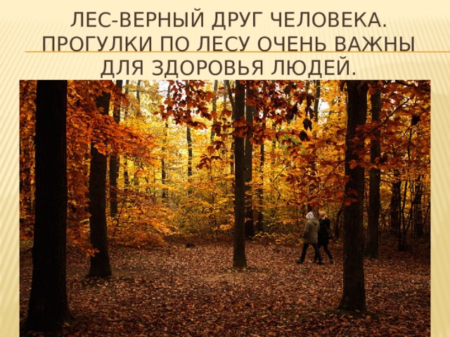 Лес-верный друг человека. Прогулки по лесу очень важны для здоровья людей. 
