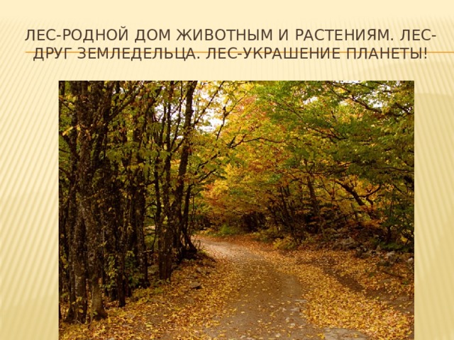 Лес-родной дом животным и растениям. Лес-друг земледельца. Лес-украшение планеты! 