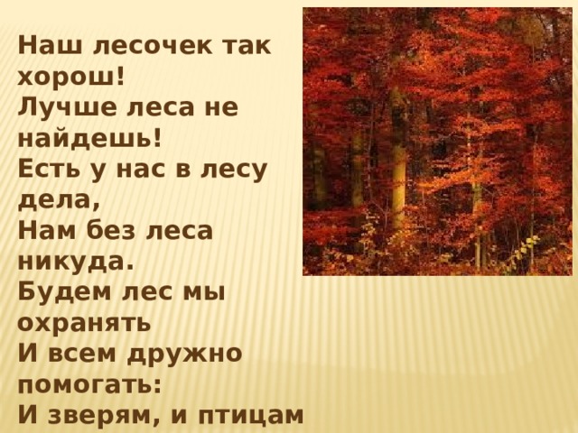 Наш лесочек так хорош! Лучше леса не найдешь! Есть у нас в лесу дела, Нам без леса никуда. Будем лес мы охранять И всем дружно помогать: И зверям, и птицам Помощь пригодится. Ты расти на радость людям, Мы дружить с тобою будем, Добрый лес, могучий лес, Полный сказок и чудес! 