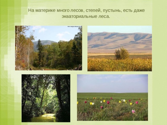 На материке много лесов, степей, пустынь, есть даже экваториальные леса. 