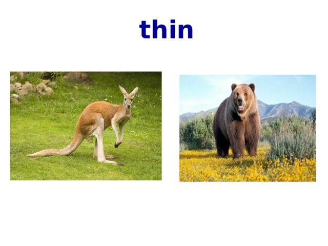 thin 