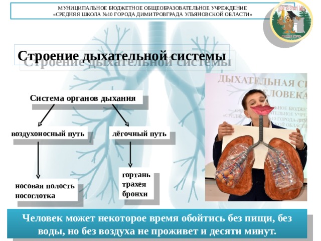 Органами дыхания являются. Цель проекта дыхательной системы. Актуальность проекта дыхательная система. Проект дыхательная система человека заключение. Способы защиты от бактерий в дыхательной системе человека.