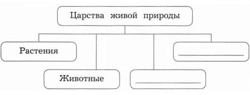 Тест царство живой природы