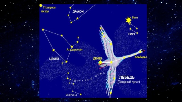 Схемы созвездий кассиопея лебедь орион