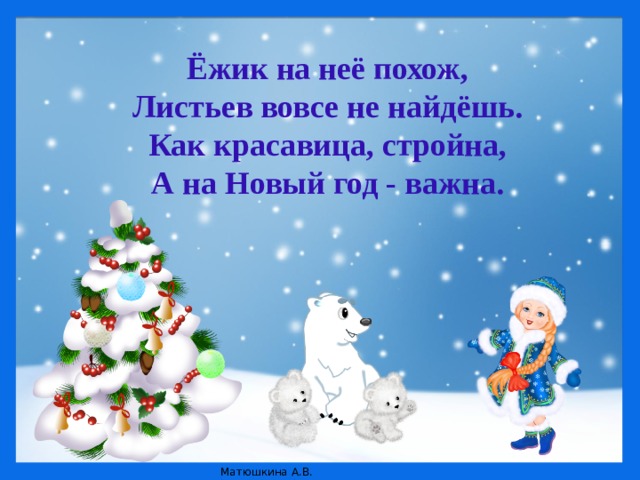   Ёжик на неё похож,  Листьев вовсе не найдёшь.  Как красавица, стройна,  А на Новый год - важна.     
