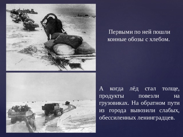 Первыми по ней пошли конные обозы с хлебом.  А когда лёд стал толще, продукты повезли на грузовиках. На обратном пути из города вывозили слабых, обессиленных ленинградцев. 