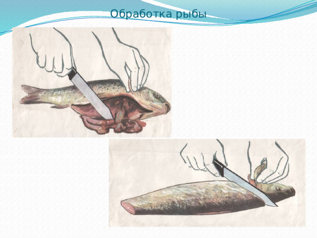 Обработка рыбы 