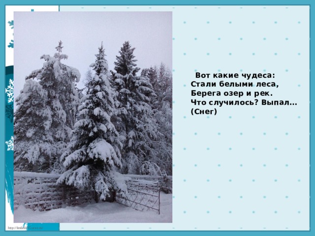  Вот какие чудеса:  Стали белыми леса,  Берега озер и рек.  Что случилось? Выпал… (Снег)   