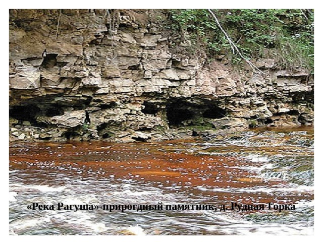 «Река Рагуша»-прирогдный памятник, д. Рудная Горка 