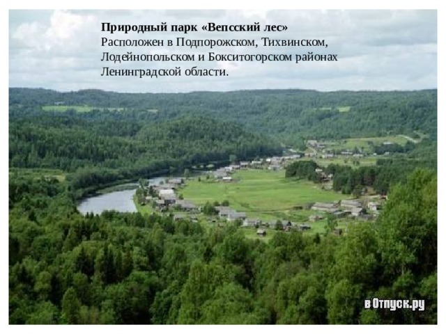 Природный парк «Вепсский лес» Расположен в Подпорожском, Тихвинском, Лодейнопольском и Бокситогорском районах Ленинградской области. 