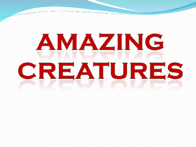 Amazing creatures 5 класс. Amazing creatures 5 класс Spotlight презентация.