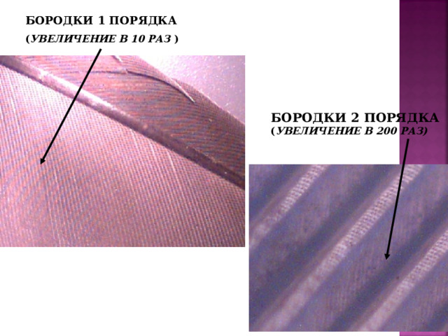  БОРОДКИ 1 ПОРЯДКА ( УВЕЛИЧЕНИЕ В 10 РАЗ ) БОРОДКИ 2 ПОРЯДКА ( УВЕЛИЧЕНИЕ В 200 РАЗ) ВНЕШНЕЕ СТРОЕНИЕ ПТИЦ. СТРОЕНИЕ ПЕРА ПТИЦ  