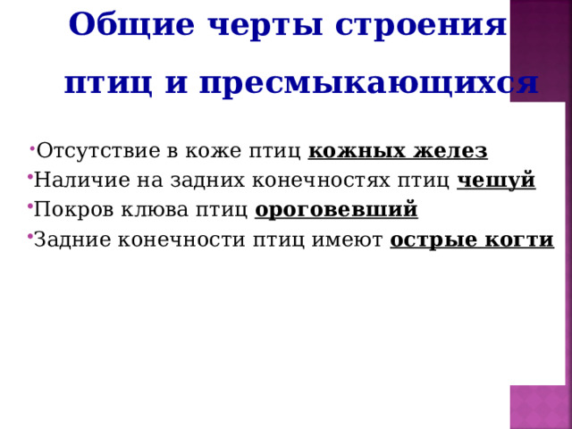  Общие черты строения птиц и пресмыкающихся Отсутствие в коже птиц кожных желез Наличие на задних конечностях птиц чешуй Покров клюва птиц ороговевший Задние конечности птиц имеют острые когти  