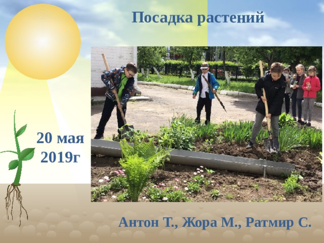 Посадка растений 20 мая 2019г Антон Т., Жора М., Ратмир С.  