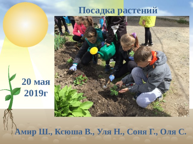 Посадка растений 20 мая 2019г Амир Ш., Ксюша В., Уля Н., Соня Г., Оля С.  
