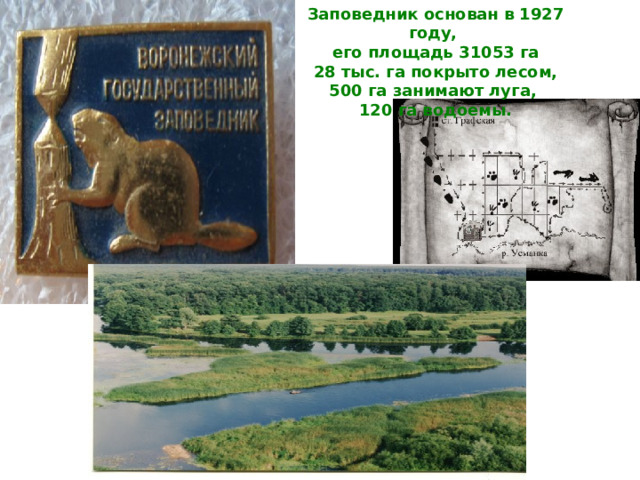 Заповедник основан в 1927 году, его площадь 31053 га 28 тыс. га покрыто лесом, 500 га занимают луга, 120 га водоемы. 