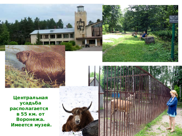 Центральная усадьба располагается в 55 км. от Воронежа.  Имеется музей. 