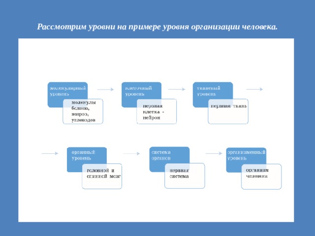 Рассмотрен уровень