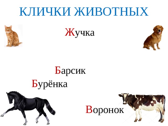 Клички животных. Имена для животных. Клички животных русский язык