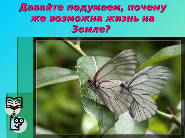 Давайте подумаем, почему же возможна жизнь на Земле?  