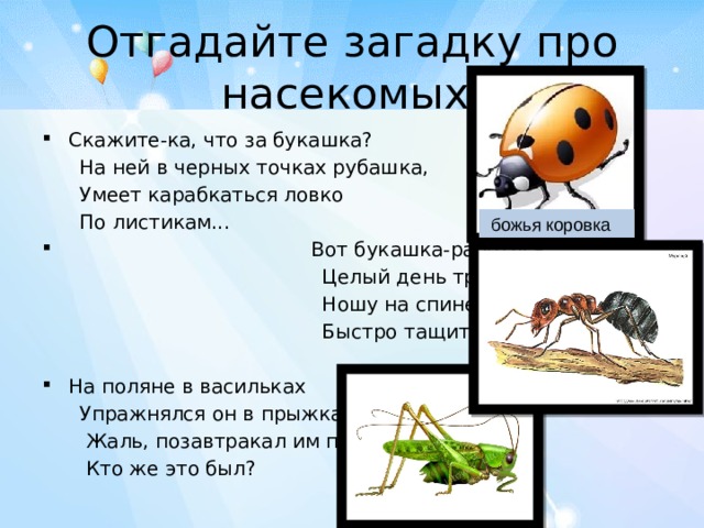 Отгадайте загадку про насекомых Скажите-ка, что за букашка?  На ней в черных точках рубашка,  Умеет карабкаться ловко  По листикам...  Вот букашка-работяга.  Целый день трудиться рада.  Ношу на спине своей  Быстро тащит... На поляне в васильках  Упражнялся он в прыжках.  Жаль, позавтракал им птенчик.  Кто же это был?    божья коровка 