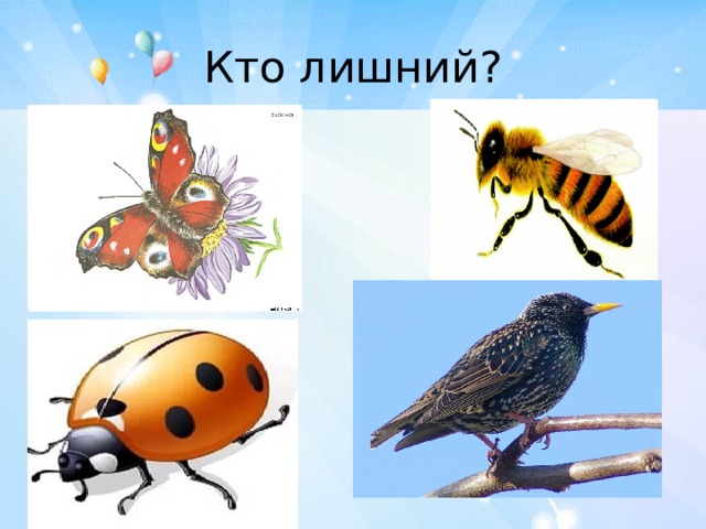 Кто лишний? 