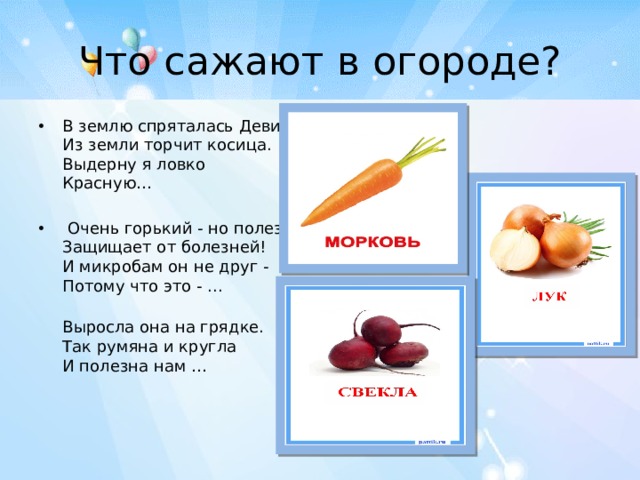 Что сажают в огороде? В землю спряталась Девица.  Из земли торчит косица.  Выдерну я ловко  Красную…   Очень горький - но полезный!  Защищает от болезней!  И микробам он не друг -  Потому что это - ...  Выросла она на грядке.  Так румяна и кругла  И полезна нам …  