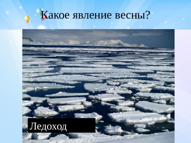 Какое явление весны? Ледоход 