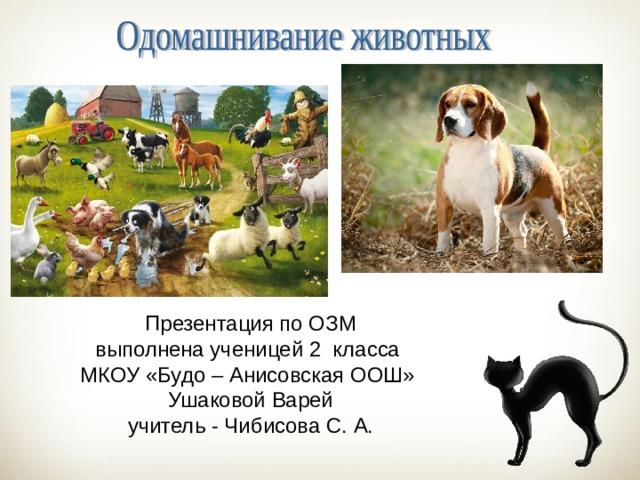 План одомашнивание животных