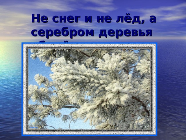 Не снег и не лёд, а серебром деревья уберёт. 