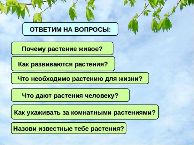 Зачем нужны растения. Что необходимо растению для жизни. Почему растения живые. Что дают растения. Рассказ о том что необходимо растению для жизни 2 класс.