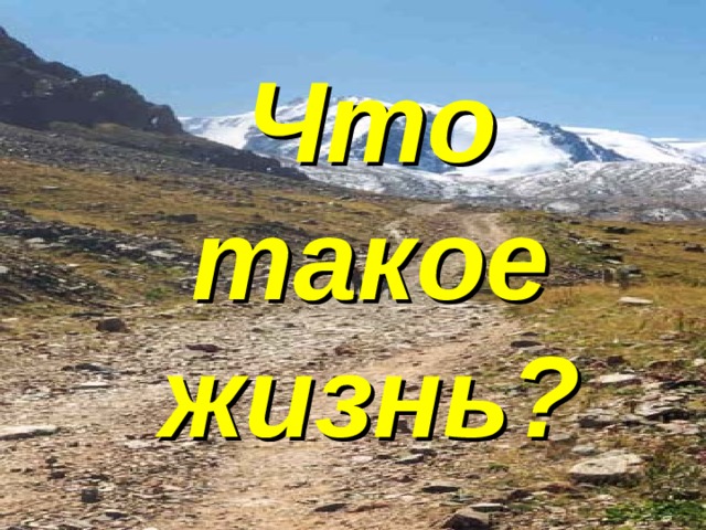 Что такое жизнь? 