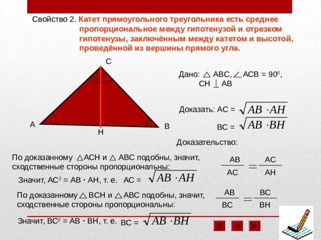 Высота есть среднее пропорциональное между гипотенузой. Среднее пропорциональное в треугольнике. Что такое среднее пропорциональное в геометрии. Среднее пропорциональное геометрия 8 класс. Среднее пропорциональное в прямоугольном треугольнике.