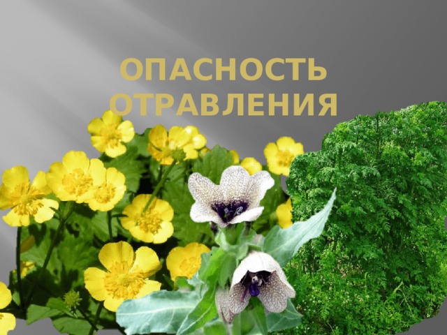 Опасность отравления 