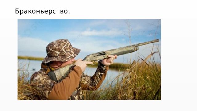 Браконьерство. 