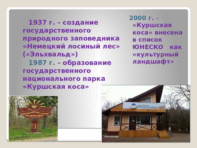   1937 г. – создание государственного природного заповедника «Немецкий лосиный лес» («Эльхвальд»)  1987 г. – образование государственного национального парка «Куршская коса»  2000 г . – «Куршская коса» внесена в список ЮНЕСКО как «культурный ландшафт»   