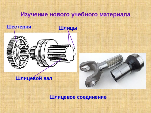 Изучение нового учебного материала Шестерня Шлицы Шлицевой вал Шлицевое соединение 