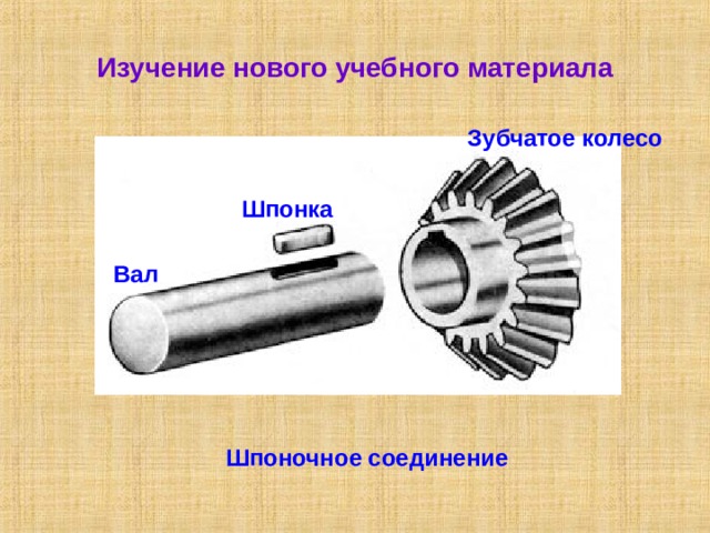 Изучение нового учебного материала Зубчатое колесо Шпонка Вал Шпоночное соединение 