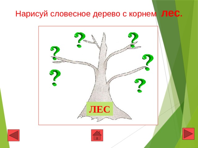 К слову лес подбери и запиши однокоренные слова в порядке схем 3 класс