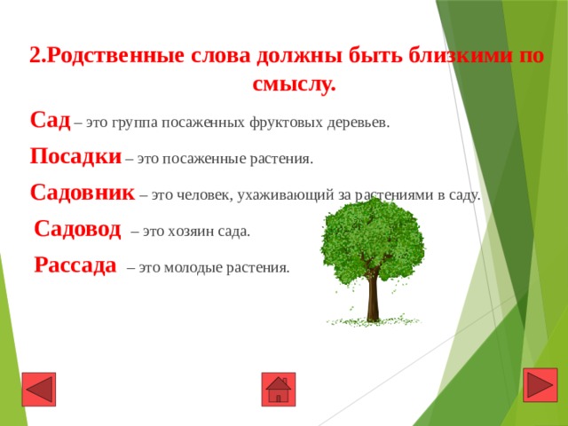  2.Родственные слова должны быть близкими по смыслу.  Сад – это группа посаженных фруктовых деревьев.  Посадки  – это посаженные растения.  Садовник – это человек, ухаживающий за растениями в саду.  Садовод – это хозяин сада.  Рассада – это молодые растения. 