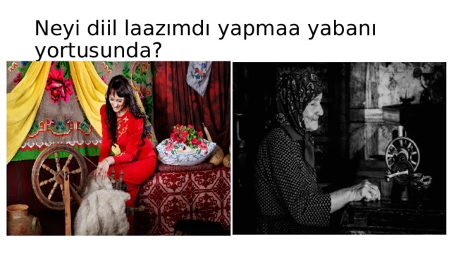 Neyi diil laazımdı yapmaa yabanı yortusunda? 