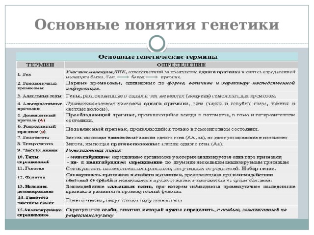 Основные понятия генетики 