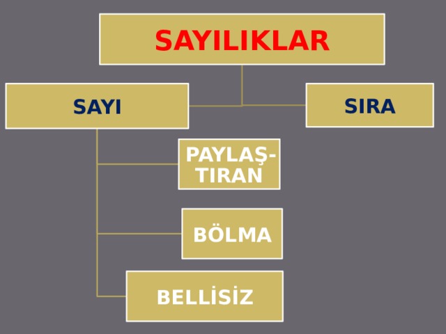 SAYILIKLAR SAYI SIRA PAYLAŞ-TIRAN BÖLMA BELLİSİZ 