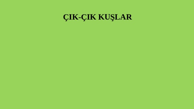  ÇIK-ÇIK KUŞLAR 