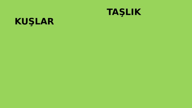  TAŞLIK KUŞLAR 