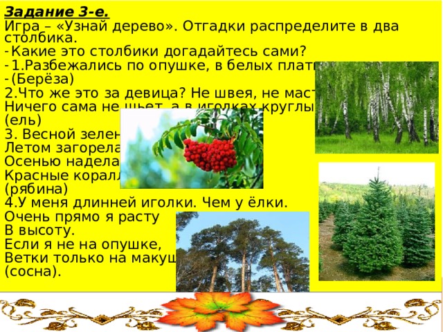 Задание 3-е. Игра – «Узнай дерево». Отгадки распределите в два столбика. Какие это столбики догадайтесь сами? 1.Разбежались по опушке, в белых платьицах подружки (Берёза) 2.Что же это за девица? Не швея, не мастерица. Ничего сама не шьет, а в иголках круглый год. (ель) 3. Весной зелена, Летом загорела. Осенью надела Красные кораллы. (рябина) 4.У меня длинней иголки. Чем у ёлки. Очень прямо я расту В высоту. Если я не на опушке, Ветки только на макушке. (сосна). 