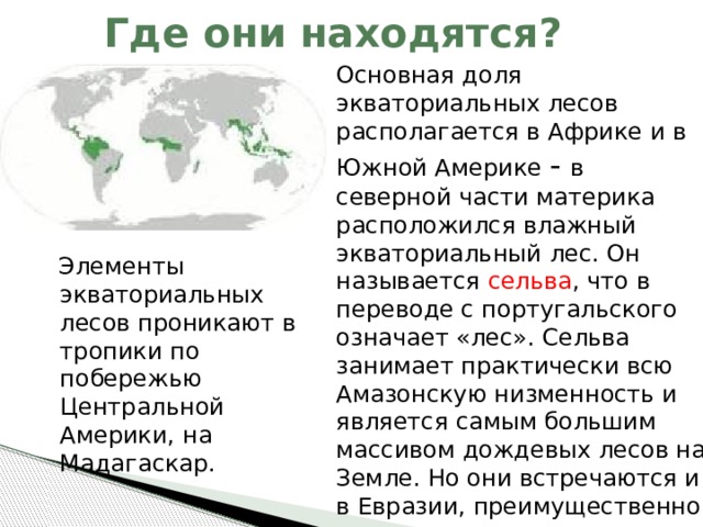 Где они находятся? Основная доля экваториальных лесов располагается в Африке и в Южной Америке  -  в северной части материка расположился влажный экваториальный лес. Он называется сельва , что в переводе с португальского означает «лес». Сельва занимает практически всю Амазонскую низменность и является самым большим массивом дождевых лесов на Земле. Но они встречаются и в Евразии, преимущественно на островах.  Элементы экваториальных лесов проникают в тропики по побережью Центральной Америки, на Мадагаскар. 