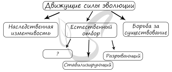 Нарисовать схему движущие силы эволюции